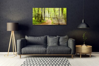 Image sur verre Tableau Forêt nature brun vert