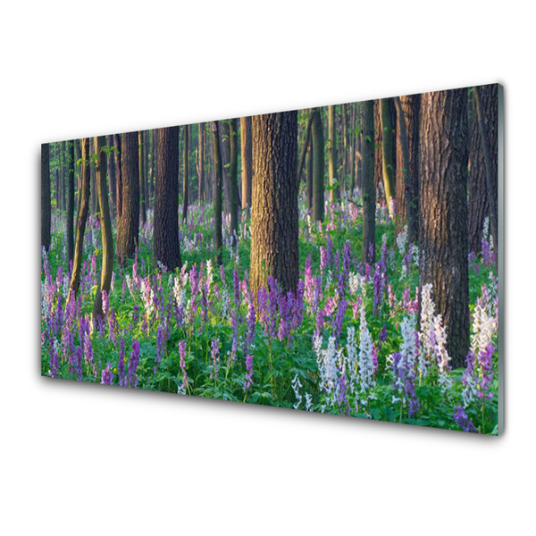 Image sur verre Tableau Forêt nature brun violet vert