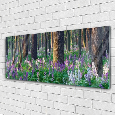 Image sur verre Tableau Forêt nature brun violet vert