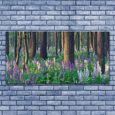 Image sur verre Tableau Forêt nature brun violet vert