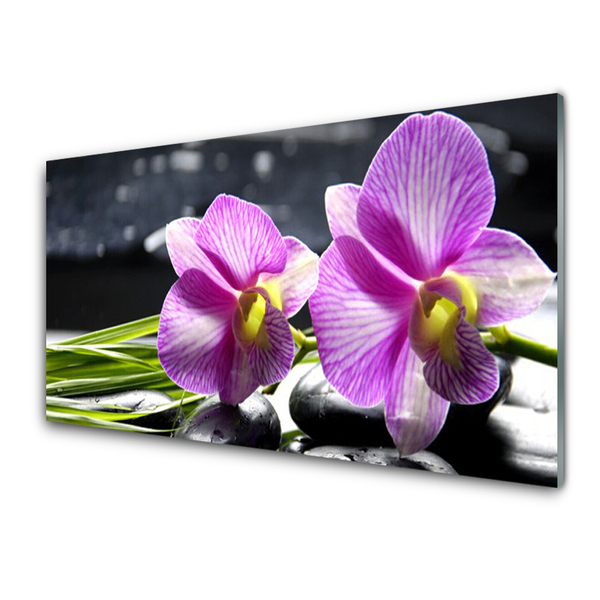 Image sur verre Tableau Fleurs floral rose