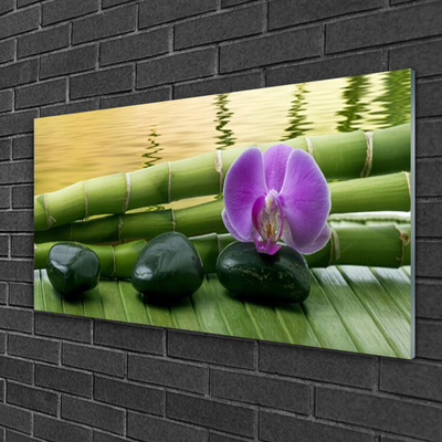 Image sur verre Tableau Pierres fleurs bambou tige floral rose noir vert