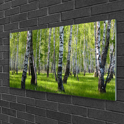 Image sur verre Tableau Forêt nature noir blanc vert