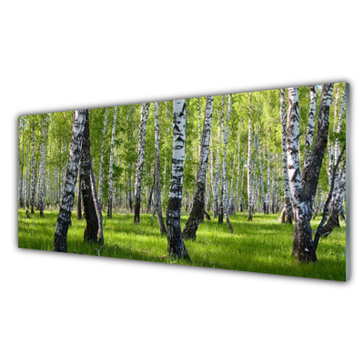 Image sur verre Tableau Forêt nature noir blanc vert