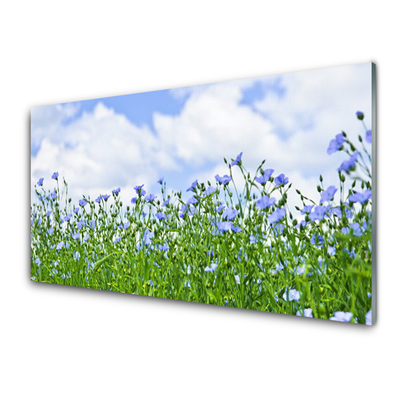 Image sur verre Tableau Fleurs nature violet vert