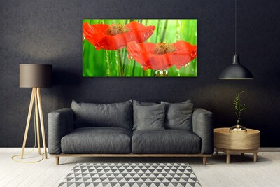 Image sur verre Tableau Coquelicots floral rouge vert