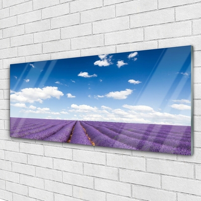 Image sur verre Tableau Fleurs prairie nature violet