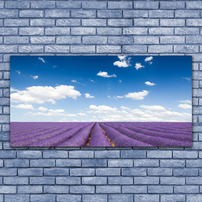 Image sur verre Tableau Fleurs prairie nature violet