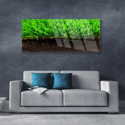 Image sur verre Tableau Herbe nature vert