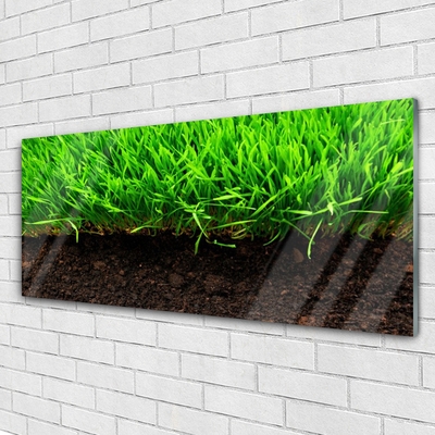 Image sur verre Tableau Herbe nature vert