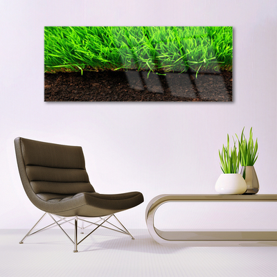 Image sur verre Tableau Herbe nature vert