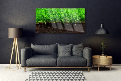 Image sur verre Tableau Herbe nature vert