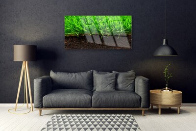 Image sur verre Tableau Herbe nature vert