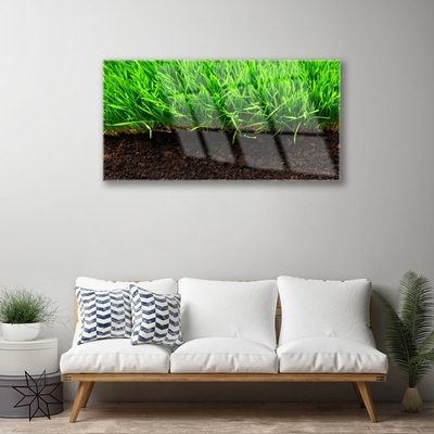 Image sur verre Tableau Herbe nature vert