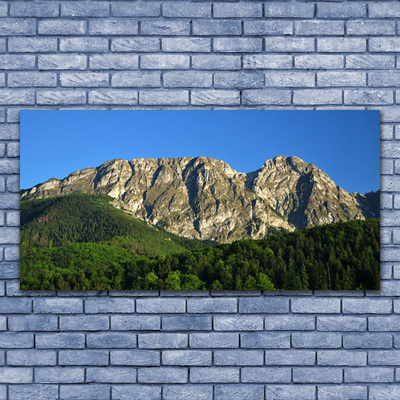 Image sur verre Tableau Montagne forêt nature gris vert