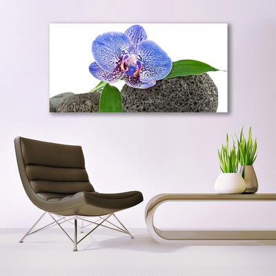 Image sur verre Tableau Fleur floral violet vert