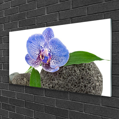 Image sur verre Tableau Fleur floral violet vert