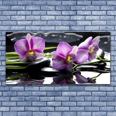 Image sur verre Tableau Fleurs pierres floral rose noir