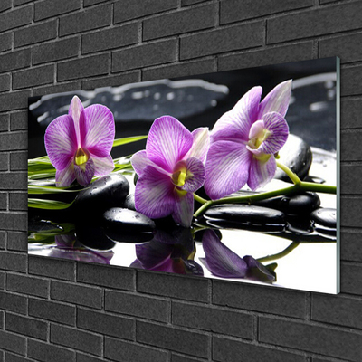 Image sur verre Tableau Fleurs pierres floral rose noir