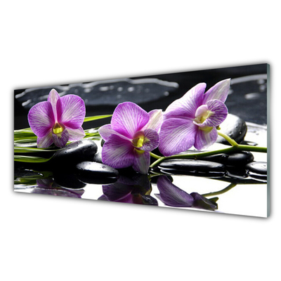 Image sur verre Tableau Fleurs pierres floral rose noir