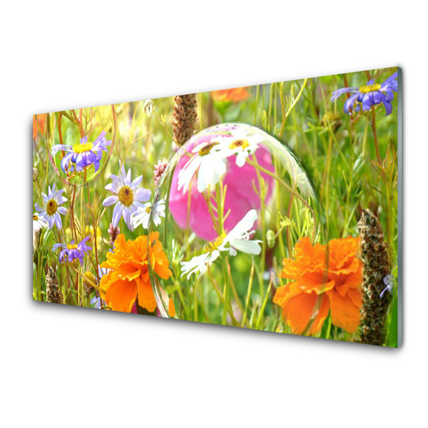 Image sur verre Tableau Fleurs nature multicolore