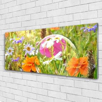 Image sur verre Tableau Fleurs nature multicolore