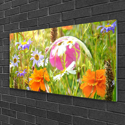 Image sur verre Tableau Fleurs nature multicolore