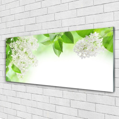 Image sur verre Tableau Fleurs feuilles floral blanc vert