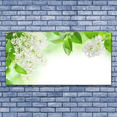 Image sur verre Tableau Fleurs feuilles floral blanc vert