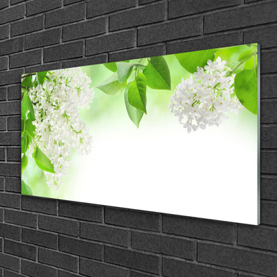 Image sur verre Tableau Fleurs feuilles floral blanc vert