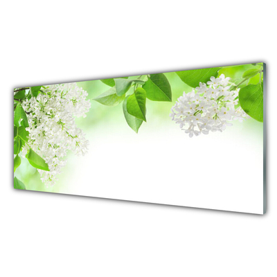 Image sur verre Tableau Fleurs feuilles floral blanc vert