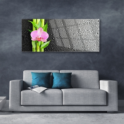 Image sur verre Tableau Bambou tige fleur floral rose vert