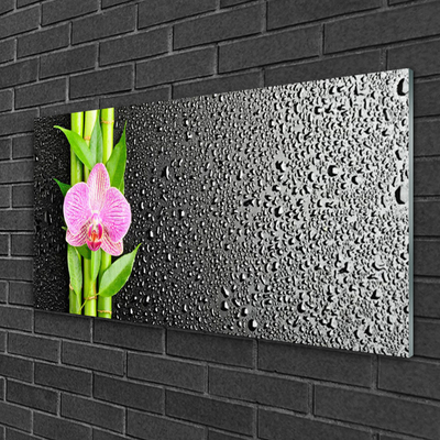 Image sur verre Tableau Bambou tige fleur floral rose vert
