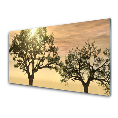 Image sur verre Tableau Arbres nature brun vert