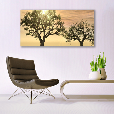 Image sur verre Tableau Arbres nature brun vert