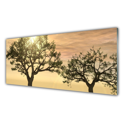 Image sur verre Tableau Arbres nature brun vert