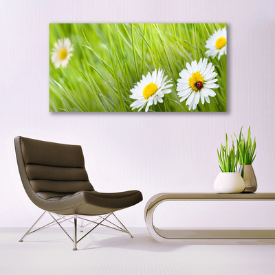 Image sur verre Tableau Marguerite herbe nature blanc vert