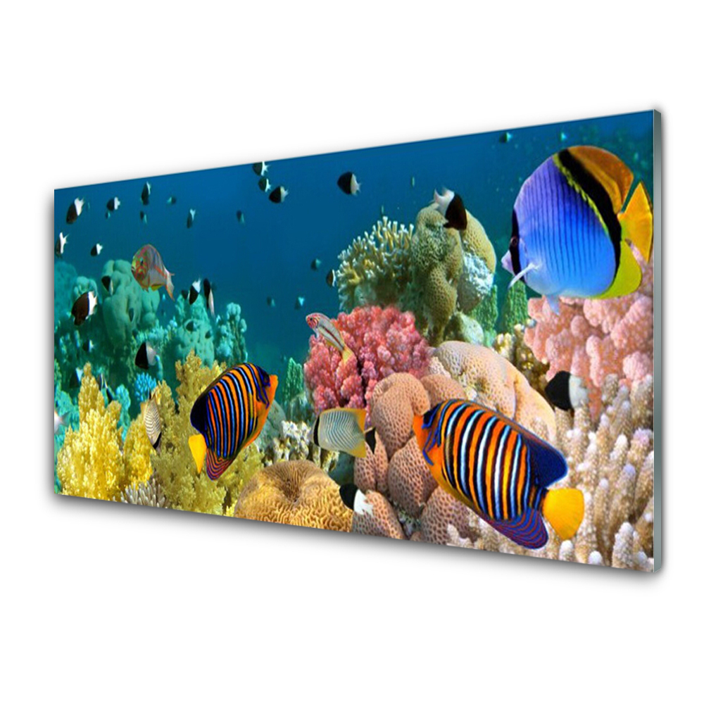 Image sur verre Tableau Impression 100x50 Nature Récif De Corail 