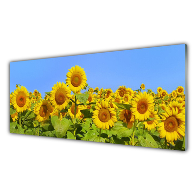 Image sur verre Tableau Tournesol floral jaune vert