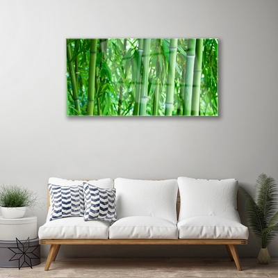 Image sur verre Tableau Bambou tige floral vert