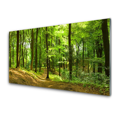 Image sur verre Tableau Forêt nature brun vert