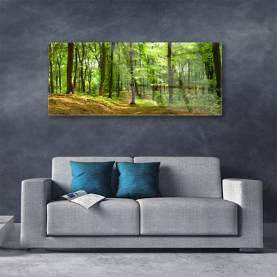 Image sur verre Tableau Forêt nature brun vert