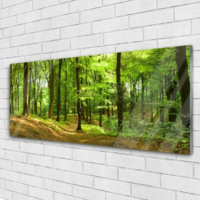 Image sur verre Tableau Forêt nature brun vert