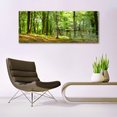 Image sur verre Tableau Forêt nature brun vert
