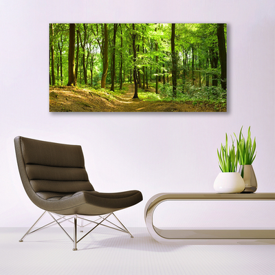 Image sur verre Tableau Forêt nature brun vert