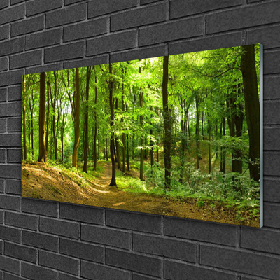 Image sur verre Tableau Forêt nature brun vert