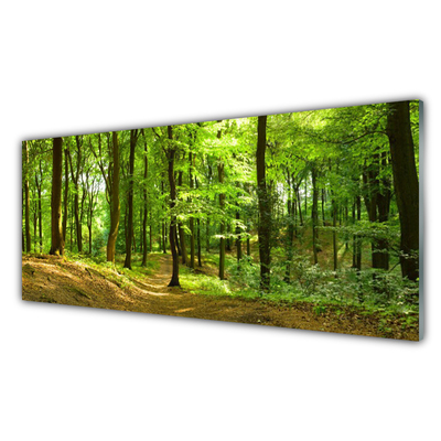 Image sur verre Tableau Forêt nature brun vert