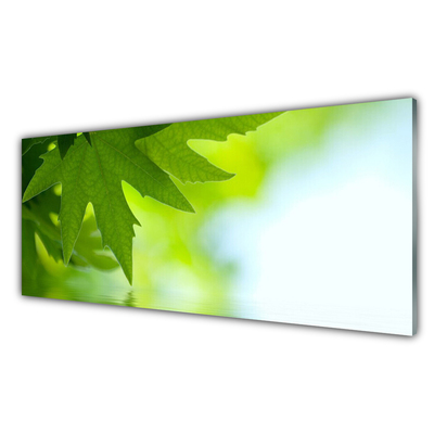 Image sur verre Tableau Feuilles nature vert
