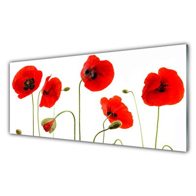 Image sur verre Tableau Coquelicots floral rouge noir vert