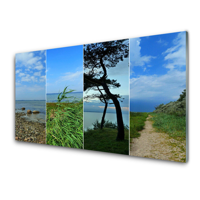 Image sur verre Tableau Plage arbre sentier paysage vert brun noir